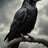Danil_Warden ✔